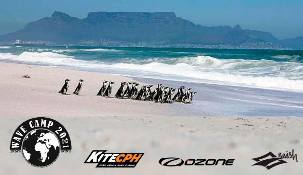 Wavecamp i Cape Town